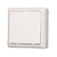ELSO-toets 506204 42V/1A opbouw RENOVATIE rw Wit 1 stuk(s) - thumbnail