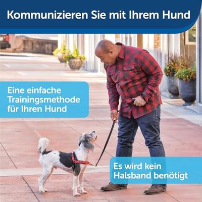 Petsafe cheese - thumbnail