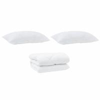 Winter Dekbed met kussen 3 pcs Wit 200 x 200 cm Microfibre - thumbnail