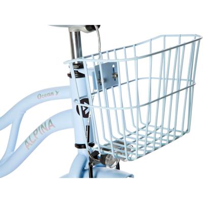 Alpina mand 20/22 ocean ice blue matt