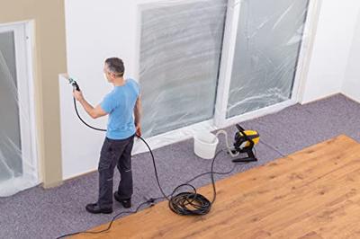 Wagner Control Pro 250R EUR Verfspuitsysteem 550 W Debiet (max.): 1250 ml/min