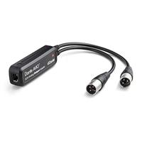 Dante Avio analog output adapter 0x2 XLR - thumbnail