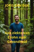 Van ziekte van Crohn naar gezondheid - Joris van Dijk - ebook - thumbnail