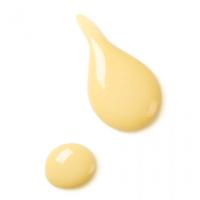 Dr. Hauschka Revitalising Day Lotion 50 ml - thumbnail