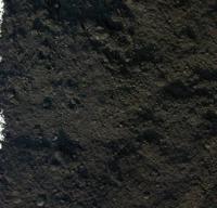 Powertex • powercolor zwart - thumbnail