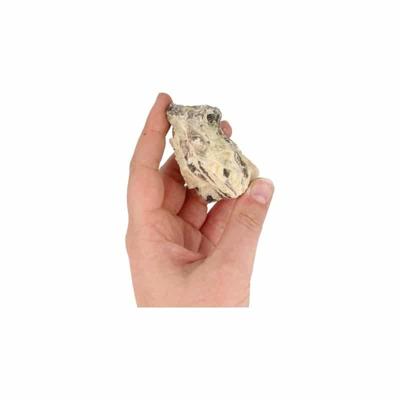 Ruwe Zebradoriet Edelsteen 5-7 cm (80 - 120 gram) Ruwe Zebradoriet Edelsteen 5-7 cm (80 - 120 gram)