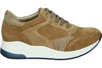 Verhulst 1334 K - alle - thumbnail