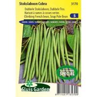 Stokslaboon zaden Cobra - thumbnail