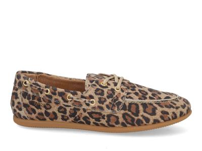 DWRS label Latty leopard 11927-03 cognac multi bruin maat 37