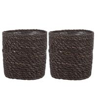Mica mand atlantic bruin 12 cm | 18 stuks - thumbnail
