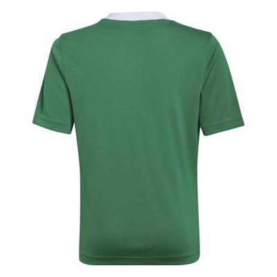 adidas Entrada 22 Voetbalshirt Kids Groen Wit