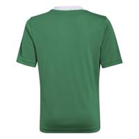 adidas Entrada 22 Voetbalshirt Kids Groen Wit - thumbnail