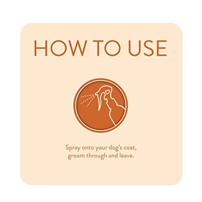 Animology Dirty Dawg No Rinse Shampoo
