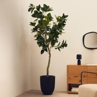 Kave Home Kunstplant 'Ficus' 210cm hoog, excl. sierpot - thumbnail