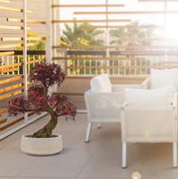 Ming Aralia Bonsai UV Burgundy kunstboom op voet 90cm - thumbnail