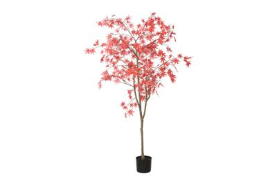 Decostar Countryfield Acer L rood