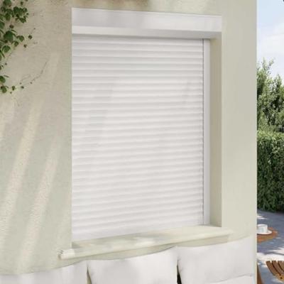 VidaXL Rolluik 100x130 cm aluminium wit