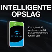 Seagate SkyHawk AI 10 TB Harde schijf ST10000VE0008, SATA/600 - thumbnail
