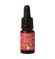 Ladrome Charme hornbeam bio 10 Milliliter - thumbnail