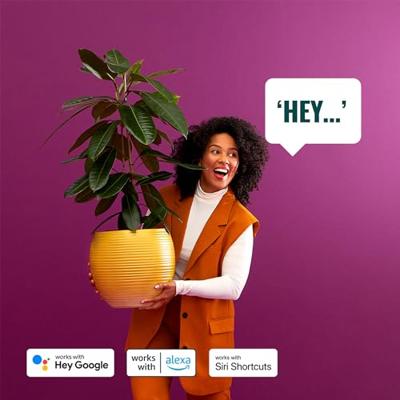 WIZ ELPAS wandlamp - Connected - Buiten - Zwart