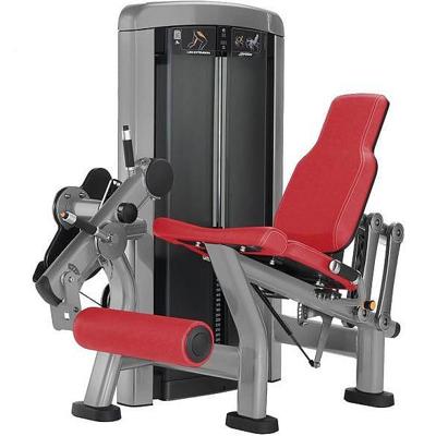 Life Fitness Insignia Series Leg Extension Life Fitness Insignia Series Leg Extension
