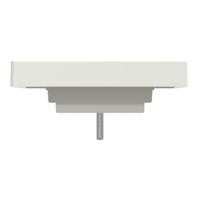 Merten 296219 UAE-, IAE-, ISDN-contactdoos Afdekking Polar-wit 1 stuk(s) - thumbnail