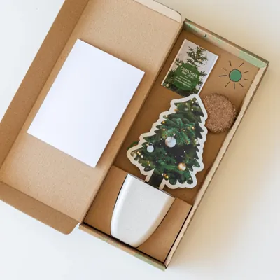 Kerstboomzaden (Nordmannspar)