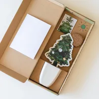 Kerstboomzaden (Nordmannspar) - thumbnail