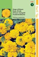 Zaden Tagetes hoge Afrikaan Yellow Supreme Hortitops - Hortitops - thumbnail