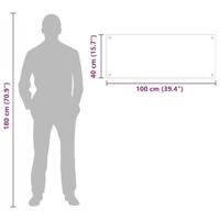VidaXL Keuken achterwand doorzichtig 100 x 40 cm gehard glas - thumbnail