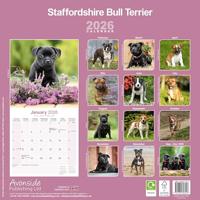 Staffordshire Bull Terrier Calendar 2026 Square Dog Breed Wall Calendar - 16 Month - thumbnail