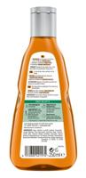 Guhl Intensieve Stevigheid Shampoo - thumbnail