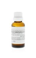 Homeoden Heel Carduus marianus D4 30 Milliliter - thumbnail