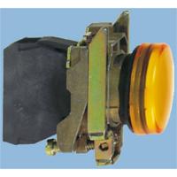 Schneider Electric XB4BVB4EX Verlichte melder 1 stuk(s) - thumbnail