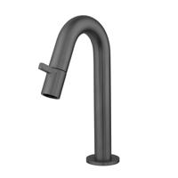 Toiletkraan Best Design Moya 1-draaiknop Gebogen 21 cm Gunmetal - thumbnail