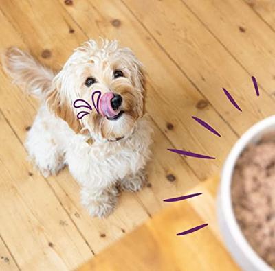 Hond kuipje kip/wild/lam mp 100g Edgard & Cooper - Edgard en cooper