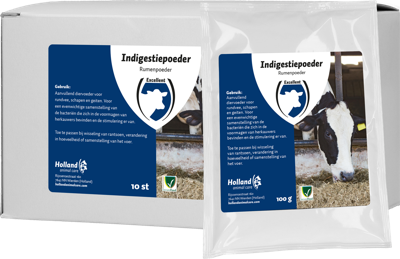 Excellent Indigestie Poeder 10 x 100 g