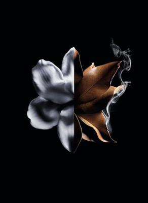 Givenchy L'Interdit Absolu Eau de Parfum Intense 50ml