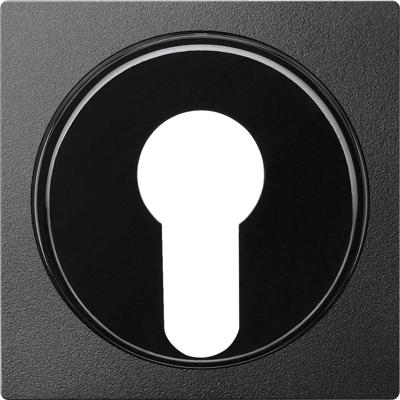 Merten 318114 Afdekking System M Antraciet 1 stuk(s)