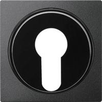 Merten 318114 Afdekking System M Antraciet 1 stuk(s) - thumbnail