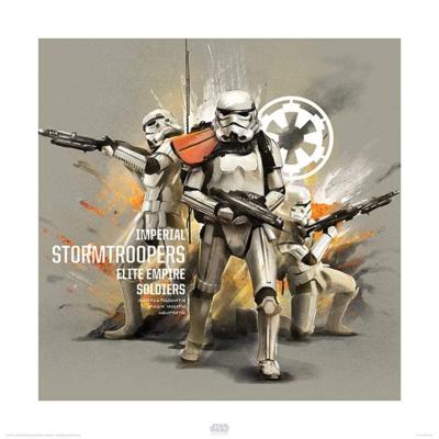 Kunstdruk Star Wars - Rogue One Stormtroopers Profile 40x40cm Kunstdruk Star Wars - Rogue One Stormtroopers Profile 40x40cm