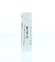 Silicea D30 6 Gram - thumbnail