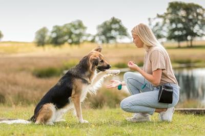 TRIXIE TRAINER SNACK MINI HARTJES