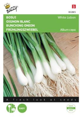 Zaden Bosui White Lisbon Buzzy - Buzzy