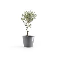 Ecopots Bloempot Amsterdam Ø20cm - Grijs - thumbnail