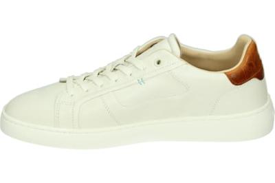 Greve 2125.02 - alle Greve 2125.02 - alle