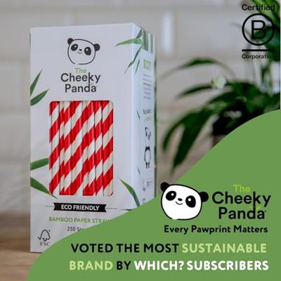 The Cheeky Panda Rietjes - bio-afbreekbaar - fsc bamboe - 100st