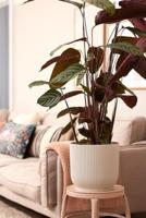 Elho Bloempot Vibes Fold Zijdewit met wielen Ø35cm - thumbnail