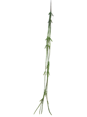Cactus Lia hanger green 107 cm (S) kunstbloem Nova Nature - Nova nature Cactus Lia hanger green 107 cm (S) kunstbloem Nova Nature - Nova nature