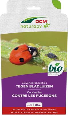 Lieveheersbeestjes tegen bladluizen 20 m2 DCM Natuurlijke Vijanden - Dcm natuurlijke vijanden